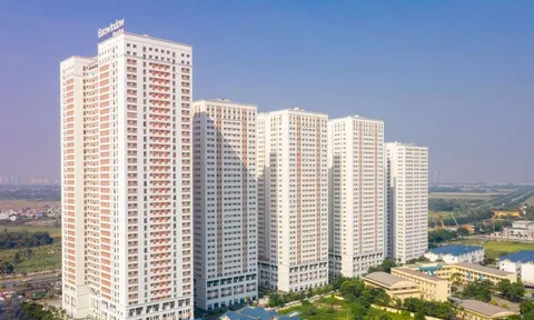 Thăng Long phát hành 7.630 trái phiếu, huy động 763 tỷ đồng chỉ trong một đợt