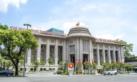 Thanh tra Vikki Bank Quận 10: Phát hiện vi phạm từ thẩm định cho vay đến phân loại nợ
