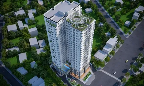 Thanh tra “tuýt còi” Địa ốc 11: Bị phạt vì chậm công bố báo cáo và vi phạm cơ cấu HĐQT độc lập