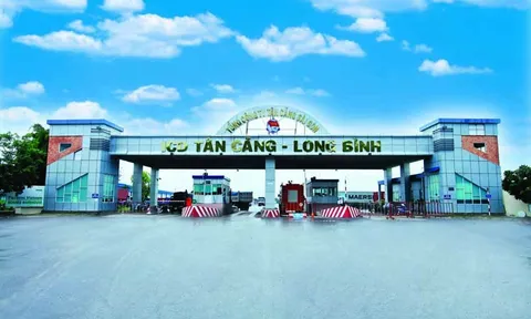 ICD Tân Cảng - Long Bình bị phạt 157,5 triệu đồng, lộ loạt thông tin công bố thiếu