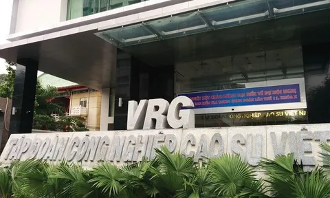 Lấn chiếm 1.600 ha đất, quỹ đầu tư hơn 1.000 tỷ chưa dùng: Thanh tra nhập cuộc chỉ ra bức tranh đáng lo tại VRG