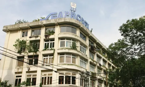Seaprodex Saigon: Từng là doanh nghiệp thủy sản Nhà nước, nay cổ phiếu “đóng băng”, bị phạt vì loạt vi phạm công bố thông tin