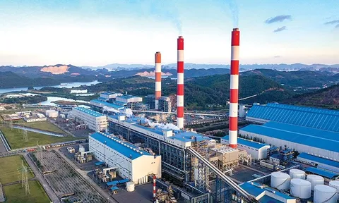 Đại án môi trường: 74 bị can, lộ mạng lưới “bẻ cong” dữ liệu trên toàn quốc