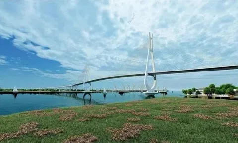 Doanh thu cao nhất lịch sử, vì sao lợi nhuận CC1 vẫn “hụt hơi”?