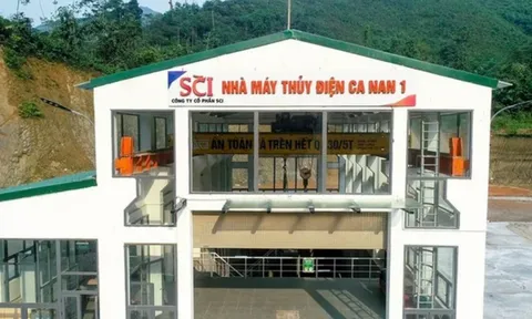 Cổ phiếu rơi mạnh, người nhà Chủ tịch S99 tranh thủ “gom hàng”