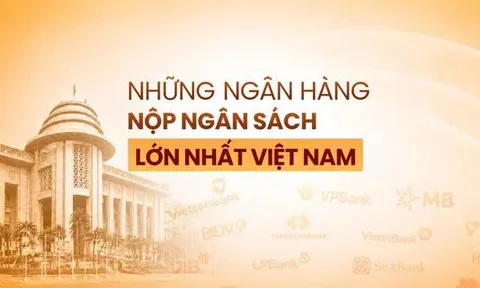 Top 20 ngân hàng nộp gần 103.000 tỷ vào ngân sách: Ai đứng đầu?