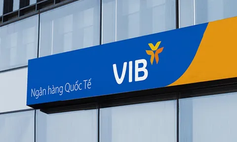 VIB Quảng Ninh bị thanh tra chỉ ra loạt tồn tại, có khoản giải ngân chưa đủ điều kiện