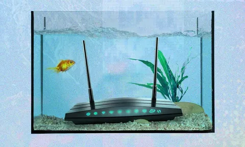 Wi-Fi trong nhà chập chờn, mạng yếu bất thường? Thủ phạm có thể là vật dụng quen thuộc ngay phòng khách!