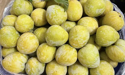 Mận cau Trung Quốc "gây sốt" chợ Việt: Giá 450k/kg mà vẫn cháy hàng!