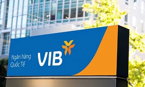 Lộ diện nhóm cổ đông nắm hơn 322 triệu cổ phiếu VIB, chiếm 8,64% vốn ngân hàng