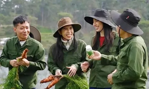 Bộ Công an công bố 13 loại thực phẩm bổ sung là giả, người tiêu dùng cần kiểm tra ngay