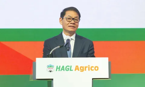 Tỷ phú Trần Bá Dương chia sẻ lộ trình “cứu” HNG: Cần tối thiểu 3–4 năm mới xóa hết lỗ lũy kế, chuẩn bị bán 20% vốn cho nhà đầu tư chiến lược