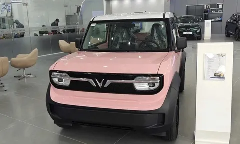 Xe điện tiếp tục “được ưu ái”: Có thể miễn phí trước bạ thêm 3 năm