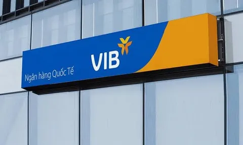 VIB đã phát hành 9.300 tỷ đồng trái phiếu trong tháng 8, tiếp tục lên kế hoạch huy động 4.000 tỷ để tăng vốn cấp 2