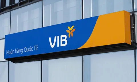Thanh tra VIB chi nhánh vinh: phát hiện tồn tại trong thẩm định, xét duyệt cho vay, hồ sơ tín dụng thiếu chứng từ