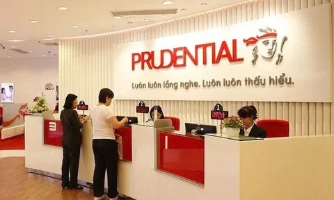 Prudential Việt Nam mang hơn 182.000 tỷ đồng đi đầu tư, lợi nhuận 6 tháng tăng gần 3 lần
