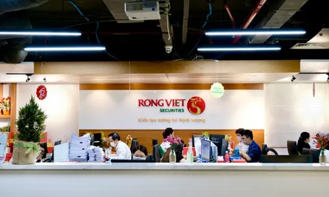 KDF tăng mạnh sở hữu tại Chứng khoán Rồng Việt, nhóm Kido – Nutifood nắm gần 14% vốn