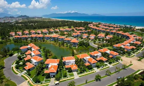 Công ty bất động sản của VinaCapital bất ngờ báo lỗ trăm tỷ, đảo chiều mạnh so với năm trước