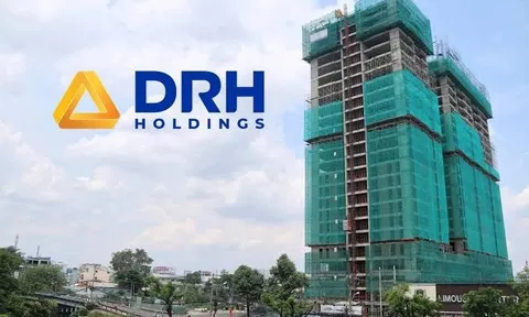 DRH Holdings đứng trước nguy cơ bị hủy niêm yết bắt buộc, lỗ lũy kế gần 104 tỷ đồng