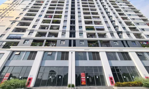 Hà Nội chốt cơ chế mới: Ưu tiên dân tái định cư thuê shophouse dưới chân chung cư