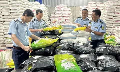 Thương hiệu Việt “đau đầu” vì hàng nhái: Bao bì vừa đổi, hôm sau đã bị sao chép