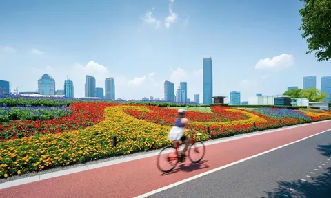 10 thành phố tốt nhất thế giới để khám phá bằng xe đạp năm 2026