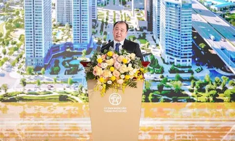 Hòa Phát mang hơn 778 triệu cổ phần bất động sản trị giá gần 8000 tỷ góp vào công ty của đại gia Khoa “khàn”