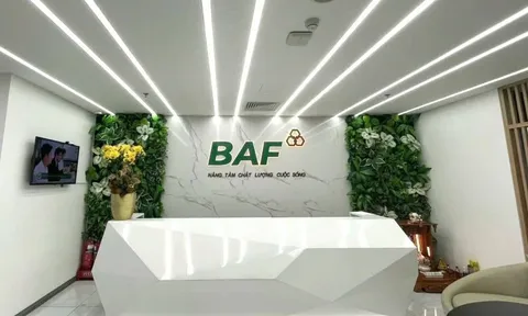 BAF phát hành 500 tỷ trái phiếu để trả nợ... chính công ty con, gánh nợ phải trả 5.500 tỷ đồng