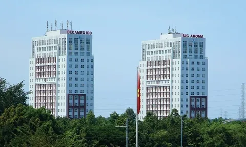 Doanh thu tăng mạnh nhưng lợi nhuận lại “đi lùi”: Becamex IJC đang gặp bài toán chi phí?