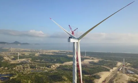 Halcom Việt Nam lên kế hoạch vừa xử lý lỗ lũy kế, vừa gỡ ý kiến ngoại trừ kiểm toán trong năm 2026