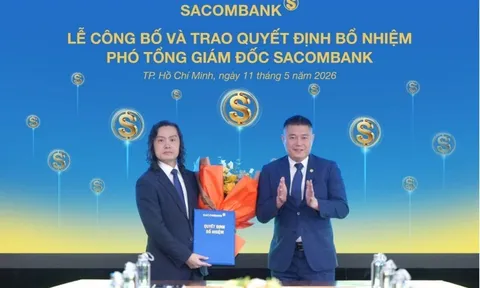 Sacombank tiếp tục “thay máu” thượng tầng: Thêm 2 cựu sếp LPBank gia nhập Ban điều hành giữa lúc lợi nhuận lao dốc