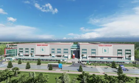 SIBA Group: Nợ vượt 1.000 tỷ, tiền mặt chưa tới 25 tỷ, lên kế hoạch huy động thêm 200 tỷ đồng