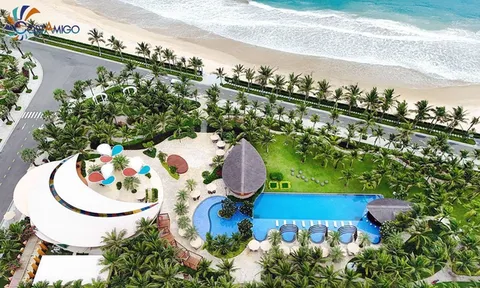 Lộ diện thế lực đứng sau Costamigo Phan Thiết: Từ buôn nông sản đến đế chế bất động sản hàng trăm tỷ