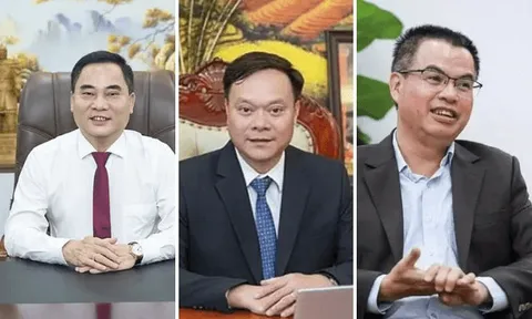 Biến động nhân sự tại Vinachem: Apatit Việt Nam, Đạm Ninh Bình và Casumina cùng thay Tổng giám đốc, chuyện gì đang xảy ra?