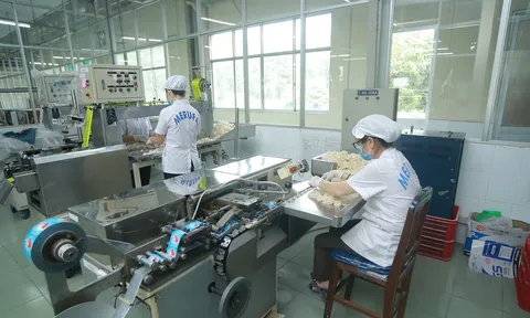 Từng có MB, Sacombank góp vốn, Merufa nay chứng kiến biến động thượng tầng: Hai sếp lớn xin nghỉ, cổ phiếu giảm 8% từ đầu năm