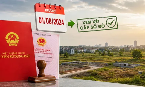 Tin vui cho người đang “kẹt” sổ đỏ? Xuất hiện đề xuất đáng chú ý với đất vi phạm trước 1/8/2024