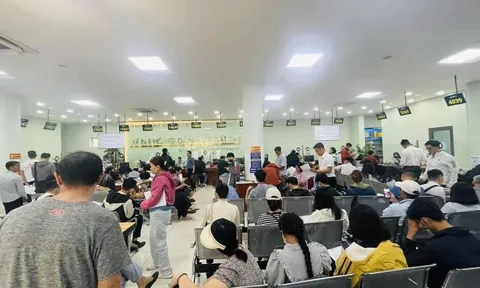Gần 968.000 hồ sơ đất đai được giải quyết, TP.HCM yêu cầu làm rõ trách nhiệm từng khâu