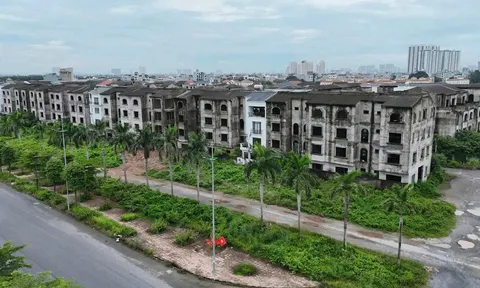Mức thuế đề xuất 0,2% áp dụng cho loại đất nào?