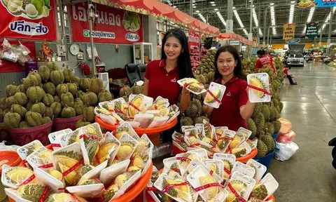 Mô hình “Thưởng thức trái cây kiểu Thái”