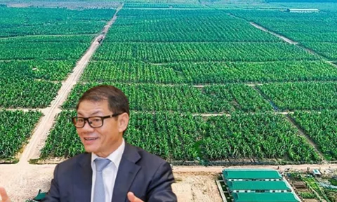 Lỗ kéo dài, nợ hơn 18.000 tỷ, HAGL Agrico bị kiểm toán nghi ngờ khả năng hoạt động