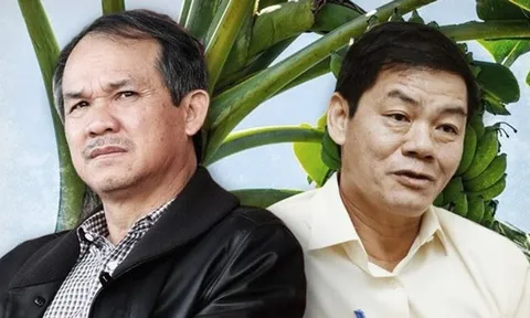 Tỷ phú Trần Bá Dương trồng chuối nhiều gấp đôi bầu Đức