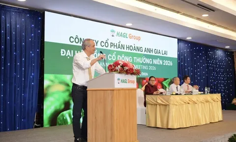 Hoàng Anh Gia Lai chính thức “qua cơn bĩ cực”: Kiểm toán gỡ nghi ngờ hoạt động liên tục sau 10 năm tái cấu trúc