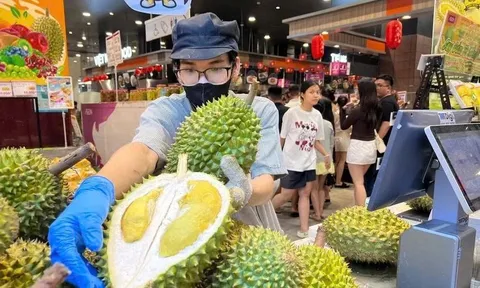 Vì sao sầu riêng miền Tây rớt giá mạnh nhưng vào siêu thị TP.HCM vẫn đắt đỏ?