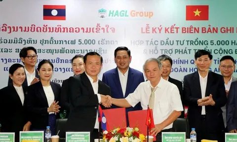 Sau chuối và heo, bầu Đức tiếp tục cược lớn vào nông nghiệp: Hoàng Anh Gia Lai trồng 5.000ha cà phê tại Lào