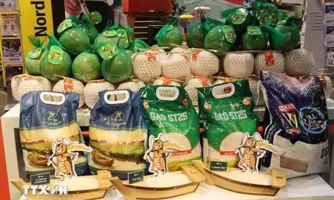 Gạo đặc sản Việt Nam vào hệ thống bán buôn hơn 60.000 mặt hàng tại Đức