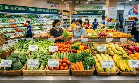 Xuất khẩu rau quả tăng gần 20%, vì sao doanh nghiệp Việt không thể chỉ trông chờ vào Trung Quốc?