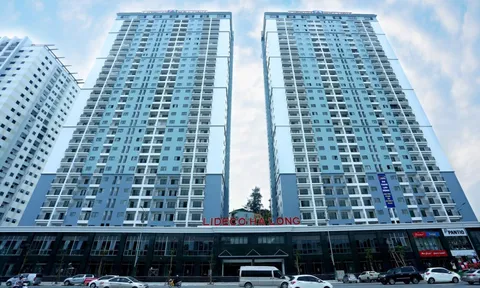 Lideco ôm cổ phiếu TCH, HHS đang tạm lỗ hàng chục tỷ, Phó Chủ tịch trở thành cổ đông lớn Hoàng Huy