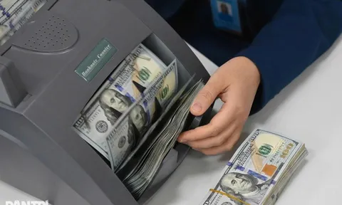 Mua bán ngoại tệ “chợ đen”: Phạt tới 100 triệu đồng, tịch thu toàn bộ tang vật