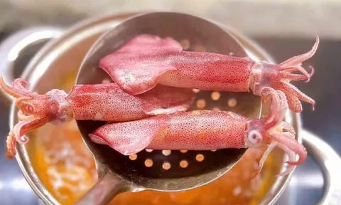 Trào lưu mukbang đẩy mực ống thành "ngôi sao TikTok", giá phi mã vẫn cháy hàng