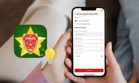 VNeID có hơn 500 triệu lượt truy cập, người dân đang tra cứu những thông tin gì nhiều nhất?